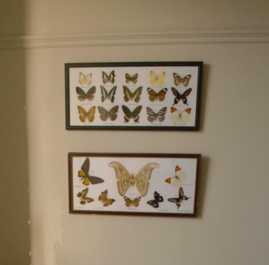 Sankence Lodge B&B Aylsham Luaran gambar